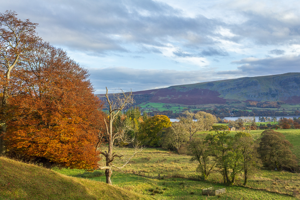 Barton Fell